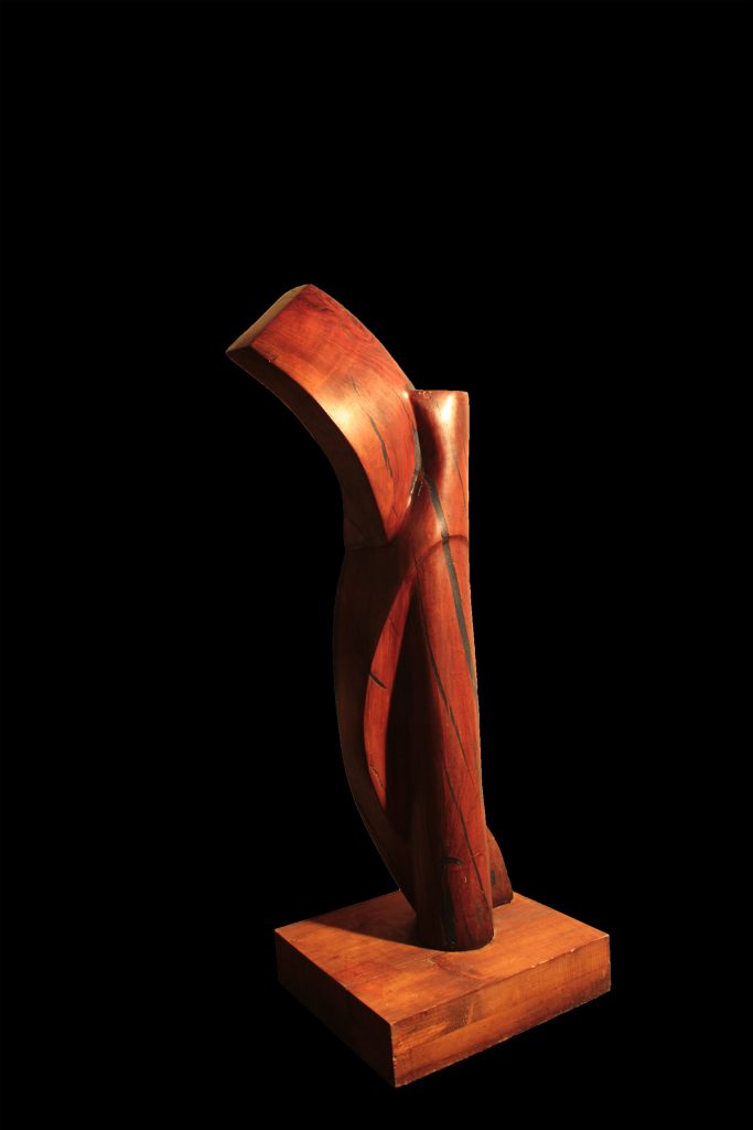 Apricot Wood-2010-94x35x31 cm 2